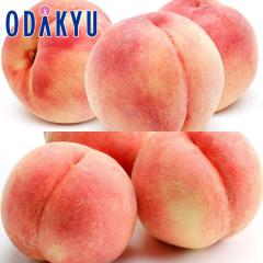 �� ���� �������� ��܂Ȃ� �~ �ӂ����� �{�̓��H�ה�� 6�`8�� 1.8kg |7-12�����x�ł̂��͂��������E����ւ͓͕s��(��)