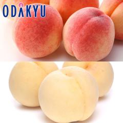 �� ���� �������� ������� �~ �ӂ����� �{�̓��H�ה�� 6�`8�� 1.8kg |7-12�����x�ł̂��͂��������E����ւ͓͕s��(��)