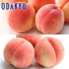 �� ���� �������� �Ȃ��� �~ �ӂ����� �{�̓��H�ה�� 6�`8�� 1.8kg |7-12�����x�ł̂��͂��������E����ւ͓͕s��(��)
