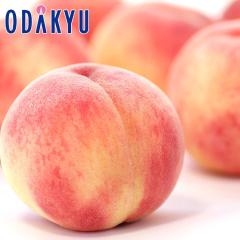 �� ���� �������� �������Y ���������� �ӂ����܂̂��� �i��͂��܂��� 6�`10�� 2kg���� |7-12�����x�ł̂��͂��������E����ւ͓͕s��(
