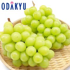 �Ԃǂ� �u�h�E �������� ���������� ����100�Z�b�g �V���C���}�X�J�b�g2�[ 1�[ 400g |7-12�����x�ł̂��͂��������E����ւ͓͕s��(��)