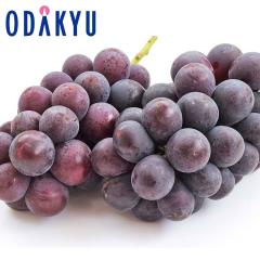 �Ԃǂ� �u�h�E �������� ���������� ����100�Z�b�g ��Ȃ�����2�[ 1�[ 400g |7-12�����x�ł̂��͂��������E����ւ͓͕s��(��)