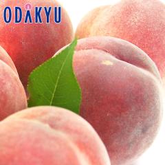 �� ���� �������� �������Y ��� �쒆������ 6�`7�� 2.5kg �G�i�ȏ� |8�����{�ȍ~�̂��͂�������E�����ւ͓͕s��(��)