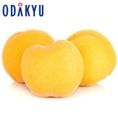 �� ���� �������� �������Y ������ 6�`8�� 1.8kg �G�i�ȏ� |8�����{�ȍ~�̂��͂�������E�����ւ͓͕s��(��)