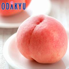 �� ���� �������� �������Y ��� �䂤���� 6�`7�� 2.5kg �G�i�ȏ� |8�����{�ȍ~�̂��͂�������E�����ւ͓͕s��(��)