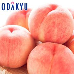 �� ���� �������� �������Y ���x12�x�ȏ� �ӂ����܂̂��� 8�`9�� 2.5kg |7-12�����x�ł̂��͂��������E����ւ͓͕s��(��)