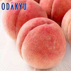 �� ���� �������� �������Y ��� ���x12�x�ȏ� �ӂ����܂̂��� 6�`7�� 2.5kg |7-12�����x�ł̂��͂��������E����ւ͓͕s��(��)