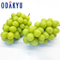 �Ԃǂ� �u�h�E �������� ���R�̃V���C���}�X�J�b�g ���� 2�[ 1�[ 500g�ȏ� |7-12�����x�ł̂��͂��������E����ւ͓͕s��(��)
