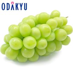 �Ԃǂ� �u�h�E �������� ���R�̃V���C���}�X�J�b�g ���� 1�[ 1�[ 500g�ȏ� |7-12�����x�ł̂��͂��������E����ւ͓͕s��(��)