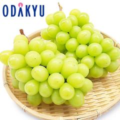 �Ԃǂ� �u�h�E �������� �R���̃V���C���}�X�J�b�g2�[���� 1�[ 500g�ȏ� |7-12�����x�ł̂��͂��������E����ւ͓͕s��(��)