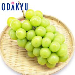 �Ԃǂ� �u�h�E �������� �R���̃V���C���}�X�J�b�g1�[���� 1�[ 500g�ȏ� |7-12�����x�ł̂��͂��������E����ւ͓͕s��(��)