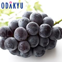 �Ԃǂ� �u�h�E �������� ���R���Y 8�����{ �I�[�����u���b�N 1�[���� 1�[ 500g�ȏ� |8�����{�ȍ~�̂��͂�������E�����ւ͓͕s��(��)