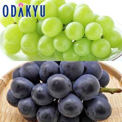 �Ԃǂ� �u�h�E �������� ���R���Y 8�����{ �V���C�� & ��Ȃ��s�I�[�l �e1�[ 500g�ȏ� |8�����{�ȍ~�̂��͂�������E�����ւ͓͕s��(��)