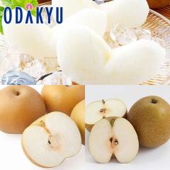 �i�V �a�� �������� �H�̊Âݗ�3��H�ה�� |7-12�����x�ł̂��͂��������E����ւ͓͕s��(��)
