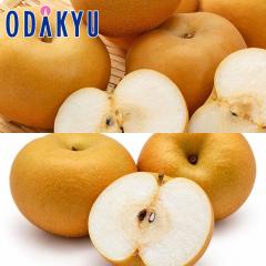 �i�V �a�� �������� �쐅2��H�ה�� |7-12�����x�ł̂��͂��������E����ւ͓͕s��(��)
