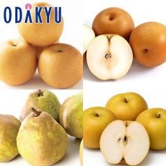 �i�V �a�� �������� �ӏH�̗�4��H�ה�� |10�����{�ȍ~�̂��͂��������E����ւ͓͕s��(��)