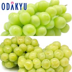 �Ԃǂ� �u�h�E �������� ���R���Y�΂Ԃǂ�2��H�ה�� |7-12�����x�ł̂��͂��������E����ւ͓͕s��(��)