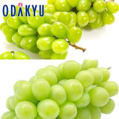 �Ԃǂ� �u�h�E �������� ����E���R�V���C���}�X�J�b�g�H�ה�� |7-12�����x�ł̂��͂��������E����ւ͓͕s��(��)