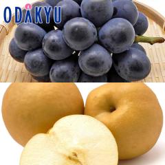 �u�h�E �i�V ���������� �������� �{�̂Ԃǂ��Ɨ�������BOX  2kg |7-12�����x�ł̂��͂��������E����ւ͓͕s��(��)