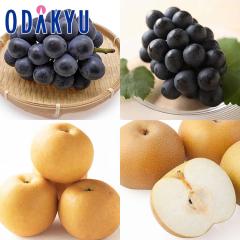 �u�h�E �i�V ���������� �������� �{�̂Ԃǂ��Ɨ������Ղ�BOX 3kg |7-12�����x�ł̂��͂��������E����ւ͓͕s��(��)