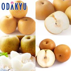 �i�V �a�� �������� ���������� �{�̗�������BOX 3kg |7-12�����x�ł̂��͂��������E����ւ͓͕s��(��)