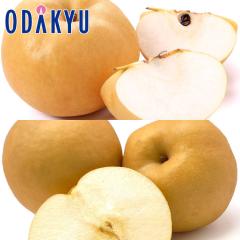 �i�V �������� ���������� �{�̗m��������BOX 3kg |7-12�����x�ł̂��͂��������E����ւ͓͕s��(��)