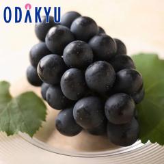 �Ԃǂ� �u�h�E �������� ���쌧�Y�i�K�m�p�[�v�� 1�[ 450g�ȏ� 2�[�l�� |7-12�����x�ł̂��͂��������E����ւ͓͕s��(��)