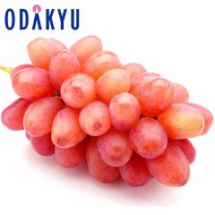 �Ԃǂ� �u�h�E �������� ���쌧�Y�N�C�[�����[�W�� 1�[ 450g�ȏ� 2�[�l�� |7-12�����x�ł̂��͂��������E����ւ͓͕s��(��)