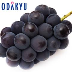 �Ԃǂ� �u�h�E �������� ���쌧�Y��Ȃ����� 1�[ 450g�ȏ� 2�[�l�� |7-12�����x�ł̂��͂��������E����ւ͓͕s��(��)