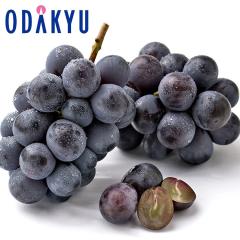 �Ԃǂ� �u�h�E �������� ���R���Y�j���[�s�I�[�l 1�[ 450g�ȏ� 2�[�l�� |7-12�����x�ł̂��͂��������E����ւ͓͕s��(��)