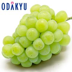 �Ԃǂ� �u�h�E �������� ���R���Y���� 1�[ 450g�ȏ� 2�[�l�� |7-12�����x�ł̂��͂��������E����ւ͓͕s��(��)