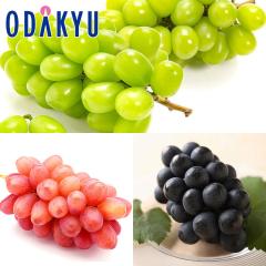 �Ԃǂ� �u�h�E �������� �M�B�Ԃǂ��O�� �V���C���E�i�K�m�p�[�v���E�N�C�[�����[�W�� |7-12�����x�ł̂��͂��������E����ւ͓͕s��(��)