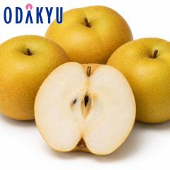 �i�V �a�� �������� �V�����Y�������x�V�� 2kg 2�ʁ`5�� |10�����{�ȍ~�̂��͂��������E����ւ͓͕s��(��)