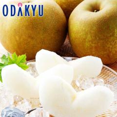 �i�V �a�� �������� �F�{���Y���Ñ� 2kg 4�ʁ`6�� |7-12�����x�ł̂��͂��������E����ւ͓͕s��(��)