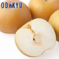 �i�V �a�� �������� ���쌧�Y�������x�����Â� 5kg 10�ʁ`16�� |7-12�����x�ł̂��͂��������E����ւ͓͕s��(��)