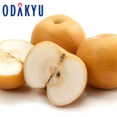 �i�V �a�� �������� ���쌧�����x�쐅 5kg 10�ʁ`16�� |7-12�����x�ł̂��͂��������E����ւ͓͕s��(��)