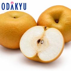 �i�V �a�� �������� ���쌧�O�b�΂���̓쐅 5kg 10�ʁ`16�� |7-12�����x�ł̂��͂��������E����ւ͓͕s��(��)