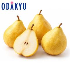 �i�V �m�Ȃ� �������� �V�������E���N�`�G 2kg 4�ʁ`6�� |11�����{�ȍ~�̂��͂��������E����ւ͓͕s��(��)