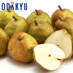 �i�V �m�Ȃ� �������� �R�`�������E�t�����X 5kg 10�ʁ`16�� |10�����{�ȍ~�̂��͂��������E����ւ͓͕s��(��)