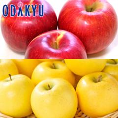 ��� �����S �������� �V�i�m�X�C�[�g&�V�i�m�S�[���h |10�����{�ȍ~�̂��͂��������E����ւ͓͕s��(��)