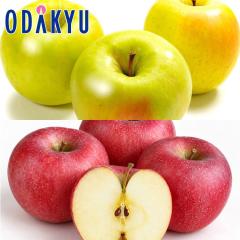 ��� �����S �������� ����ܖ���&�V�i�m�z�b�y |10�����{�ȍ~�̂��͂��������E����ւ͓͕s��(��)