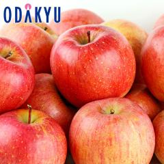 ��� �����S ���������� �������� �X���Y������ 5kg |7-12�����x�ł̂��͂��������E����ւ͓͕s��(��)