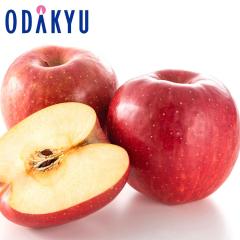 ��� �����S ������������������ �����ӂ� 5kg |10�����{�ȍ~�̂��͂��������E����ւ͓͕s��(��)