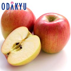 ��� �����S ������������������ �V�i�m�X�C�[�g 5kg |10�����{�ȍ~�̂��͂��������E����ւ͓͕s��(��)