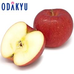 ��� �����S �������� ���Ђ���5kg |10�����{�ȍ~�̂��͂��������E����ւ͓͕s��(��)