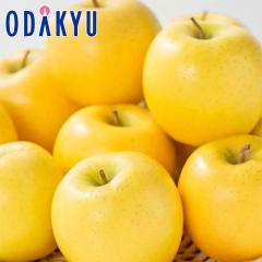 ��� �����S �������� �V�i�m�S�[���h14�ʁ`20�� |10�����{�ȍ~�̂��͂��������E����ւ͓͕s��(��)