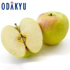 ��� �����S �������� ����ܖ���14�`20�� |10�����{�ȍ~�̂��͂��������E����ւ͓͕s��(��)