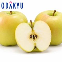 ��� �����S �������� ���W���[�g�L7�`10�� |7-12�����x�ł̂��͂��������E����ւ͓͕s��(��)