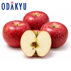 ��� �����S �������� ��� 7�ʁ`10�� 2.5kg |10�����{�ȍ~�̂��͂��������E����ւ͓͕s��(��)