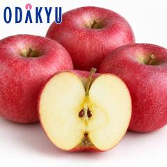 ��� �����S �������� �V�i�m�ق��� 7�ʁ`10�� 2.5kg |10�����{�ȍ~�̂��͂��������E����ւ͓͕s��(��)